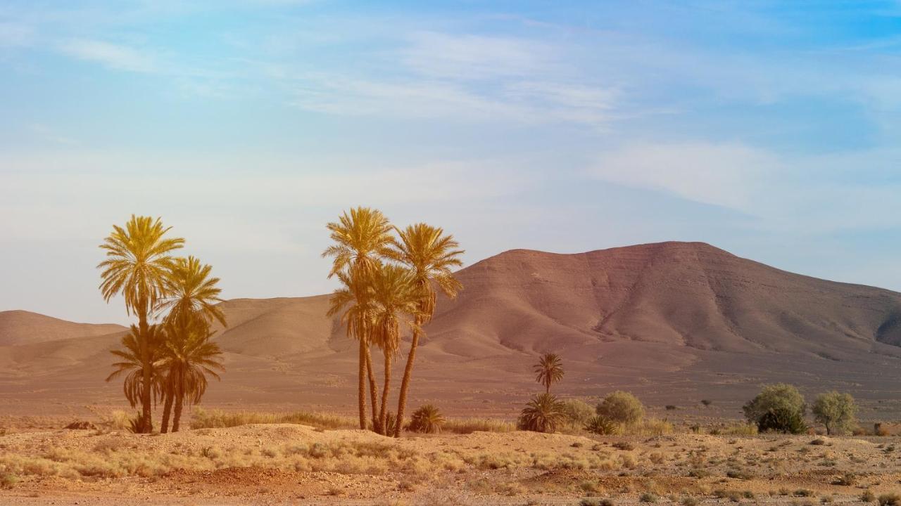 Merzouga Bohemian Camp Luaran gambar